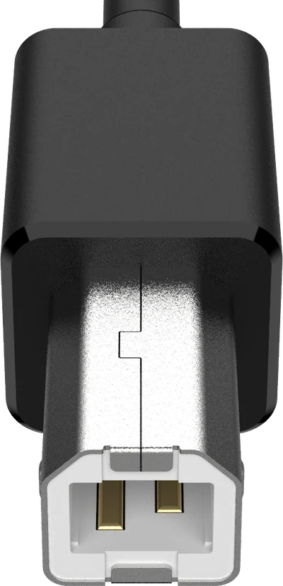 USB Type-B plug