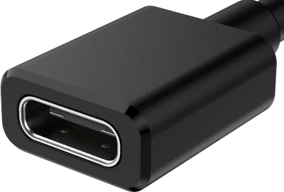 USB Type-C socket, at an angle